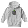 i'm in a pocket Youth Hoodie