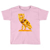 owl Toddler T-shirt