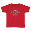 vintage genuine 1953 series all original parts Toddler T-shirt