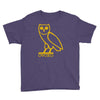 drake, ovoxo owl Youth Tee