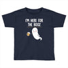 Im Here For The Booz Toddler T-shirt