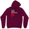 delaware state trending Unisex Hoodie