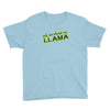 ask me about my llama Youth Tee