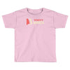 womens march on washington 2017 Toddler T-shirt