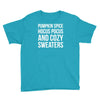 pumpkin spice hocus pocus and cozy sweaters Youth Tee
