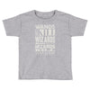 wizards kill wizards Toddler T-shirt