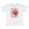 mother of dragons Toddler T-shirt