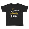 queens are born in 1987 Toddler T-shirt