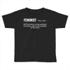 Feminist Noun Toddler T-shirt