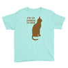 im an animal in bed Youth Tee
