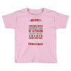merry corruption of a pagan holiday Toddler T-shirt