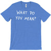what do you mean 2016 tour T-Shirt