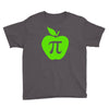 apple pi Youth Tee