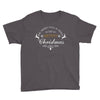we wish you a very merry christmas Youth Tee