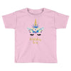 birthday unicorn family series birthday boy Toddler T-shirt