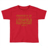litchfiel Toddler T-shirt