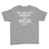 perfect welsh Youth Tee