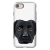 Dog2 iPhone 8
