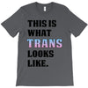 This is What Trans Looks Like T-Shirt