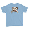 cute pug dog Youth Tee