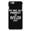perfect welsh iPhone 6 Plus/6s Plus Case