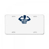 o'doyle rules License Plate