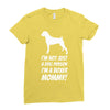 not just a dog person i'm a boxer mommy! Ladies Fitted T-Shirt