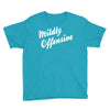 mildly offensive Youth Tee