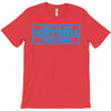 this is my fancy dress costume T-Shirt