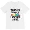 This Is What Trans Looks Like V-Neck Tee