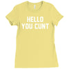 hello you c'nt Ladies Fitted T-Shirt