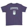 irish beathalyzer Youth Tee