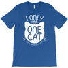 i only have one cat my cat has a few cat T-Shirt