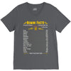 Gemini Facts Zodiac V-Neck Tee