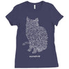 schr&ouml;dinger&rsquo;s equation Ladies Fitted T-Shirt