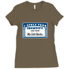 i stole your identity and now my life sucks Ladies Fitted T-Shirt