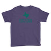 don't mess with tetris Youth Tee