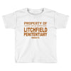 litchfiel Toddler T-shirt