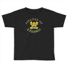 pirates of eternia Toddler T-shirt