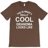 this is what a cool grandma looks like T-Shirt