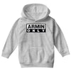 armin only logo Youth Hoodie