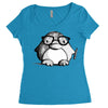 nerd penguin Women's Triblend Scoop T-shirt