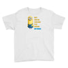 despicable me awesome perfect minio Youth Tee