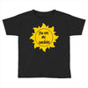 You Are My Sunshine Toddler T-shirt