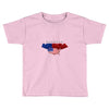 america flag Toddler T-shirt