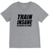 Train Insane Or Remain The Same V-Neck Tee