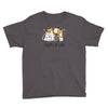 crazy cat lady Youth Tee