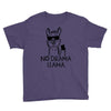 no drama llama Youth Tee