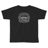hey moron Toddler T-shirt