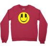 happy headphones Youth Sweatshirt